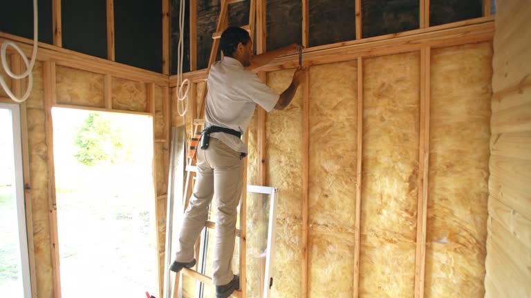 Best Blown-In Insulation  in Charlottesville, VA