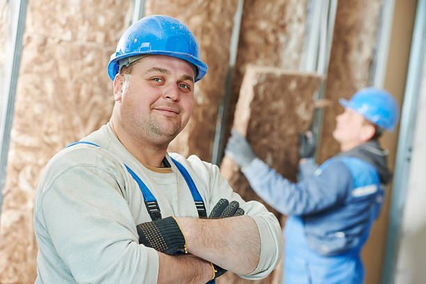 Best Insulation for Existing Homes  in Charlottesville, VA